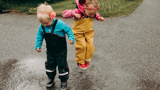 vart hittar jag polarn och pyret begagnade prylar