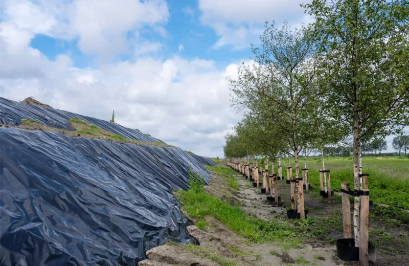 Tijdelijke depot schone grond