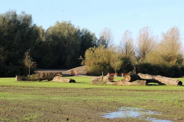 Legmeerbos © Ron Koppenol