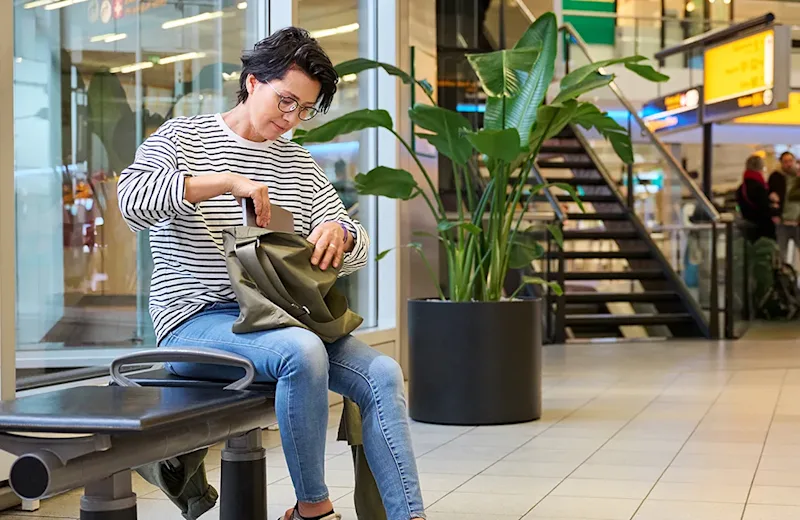 mag het in handbagage