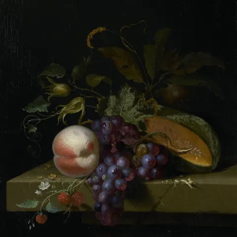 Rijksmuseum Schiphol: Stilleven met vruchten - Pieter Gallis