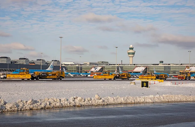 ijsberen schiphol