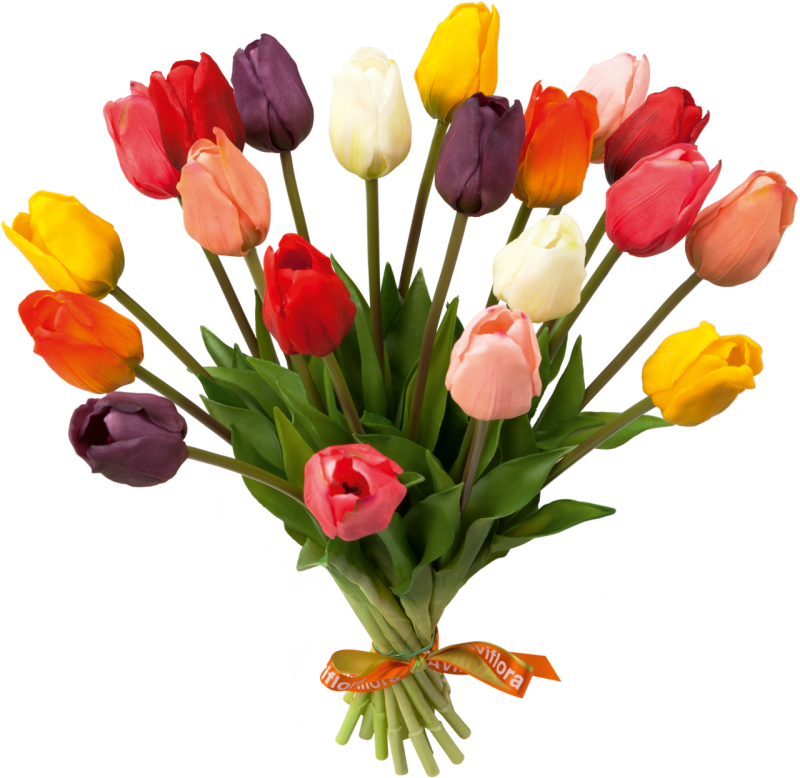 Schiphol House of Tulips