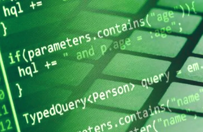 IT professionals