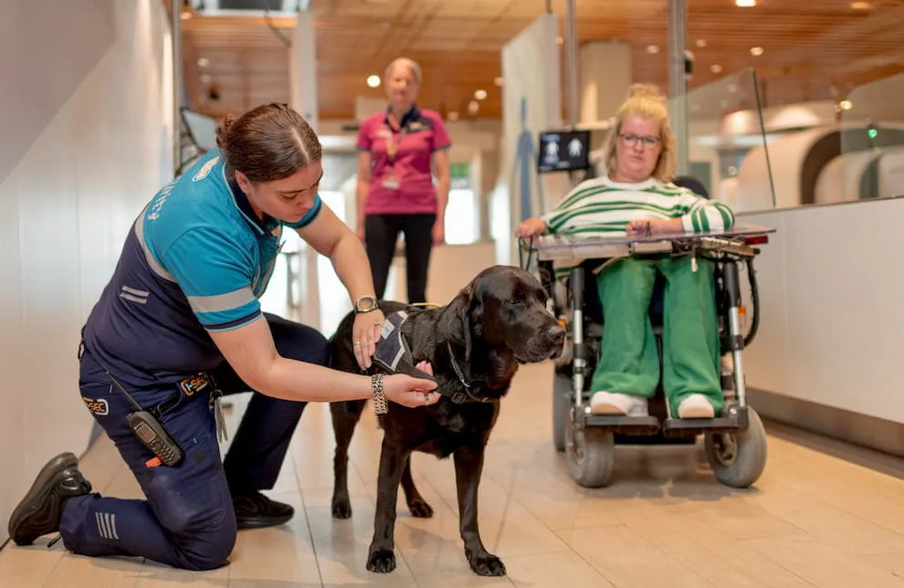 PRM assistance guide dog