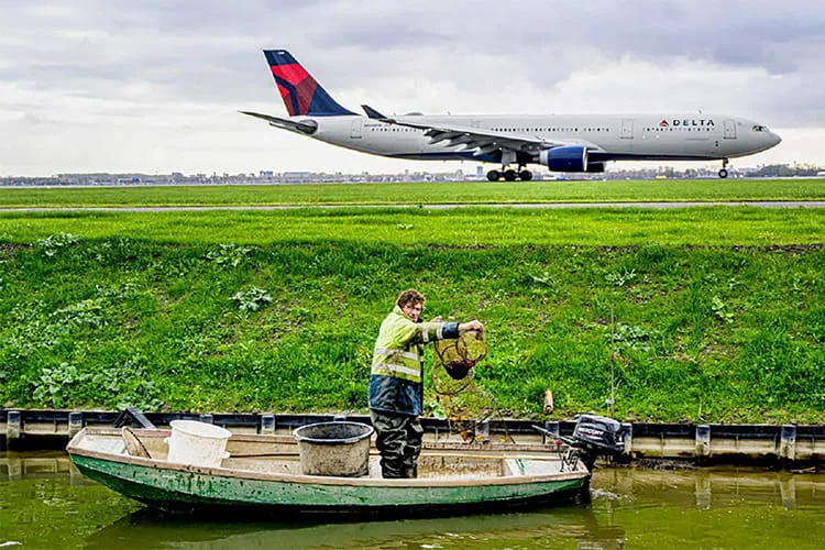 Bestrijding Amerikaanse rivierkreeft