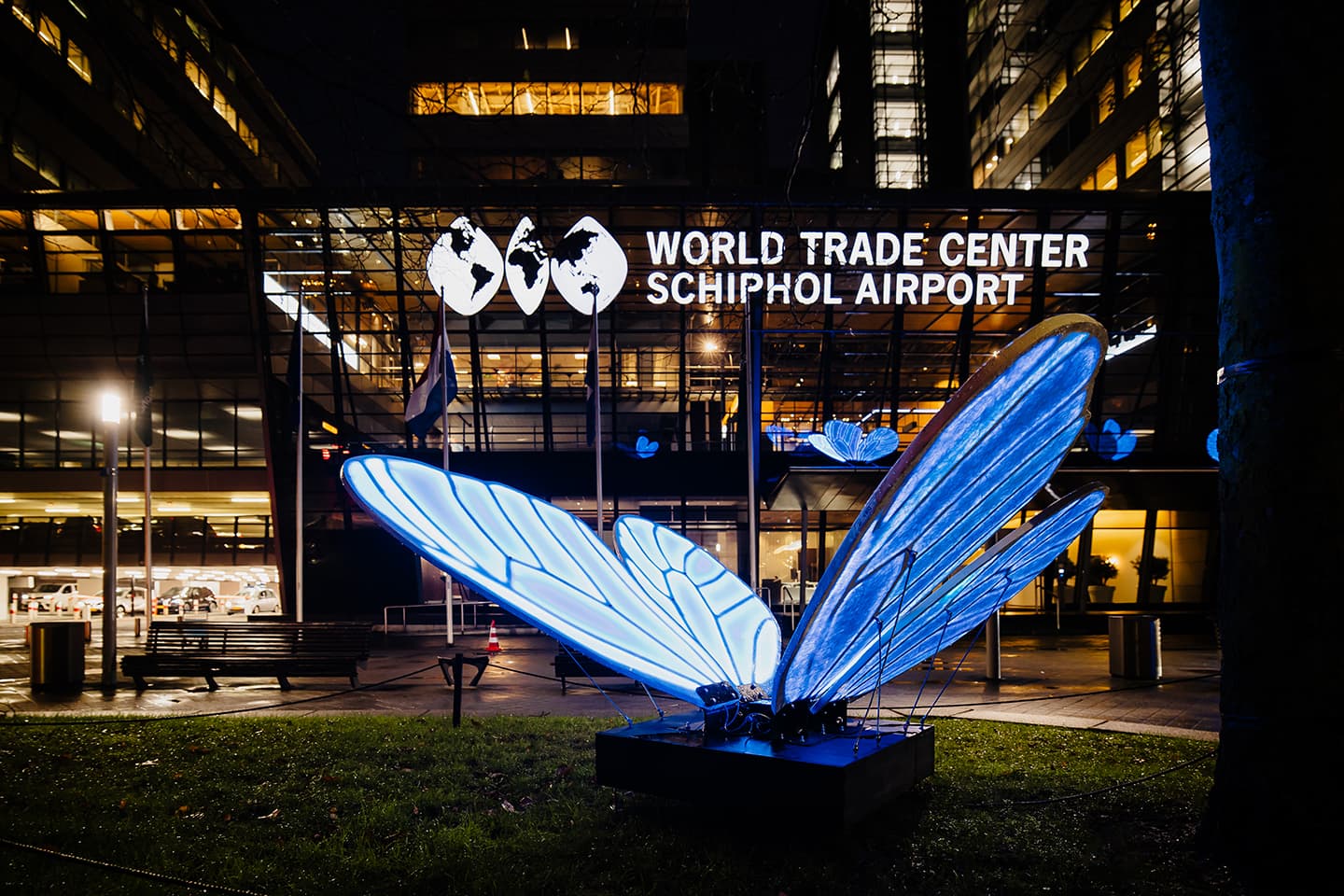butterfly effect close