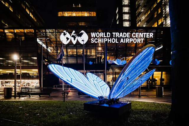butterfly effect close