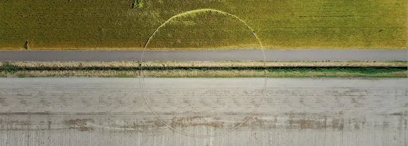 Jeroen Jongeleen - Running In Circles : Polderland