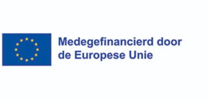 medegefinancieerd door de eu klein