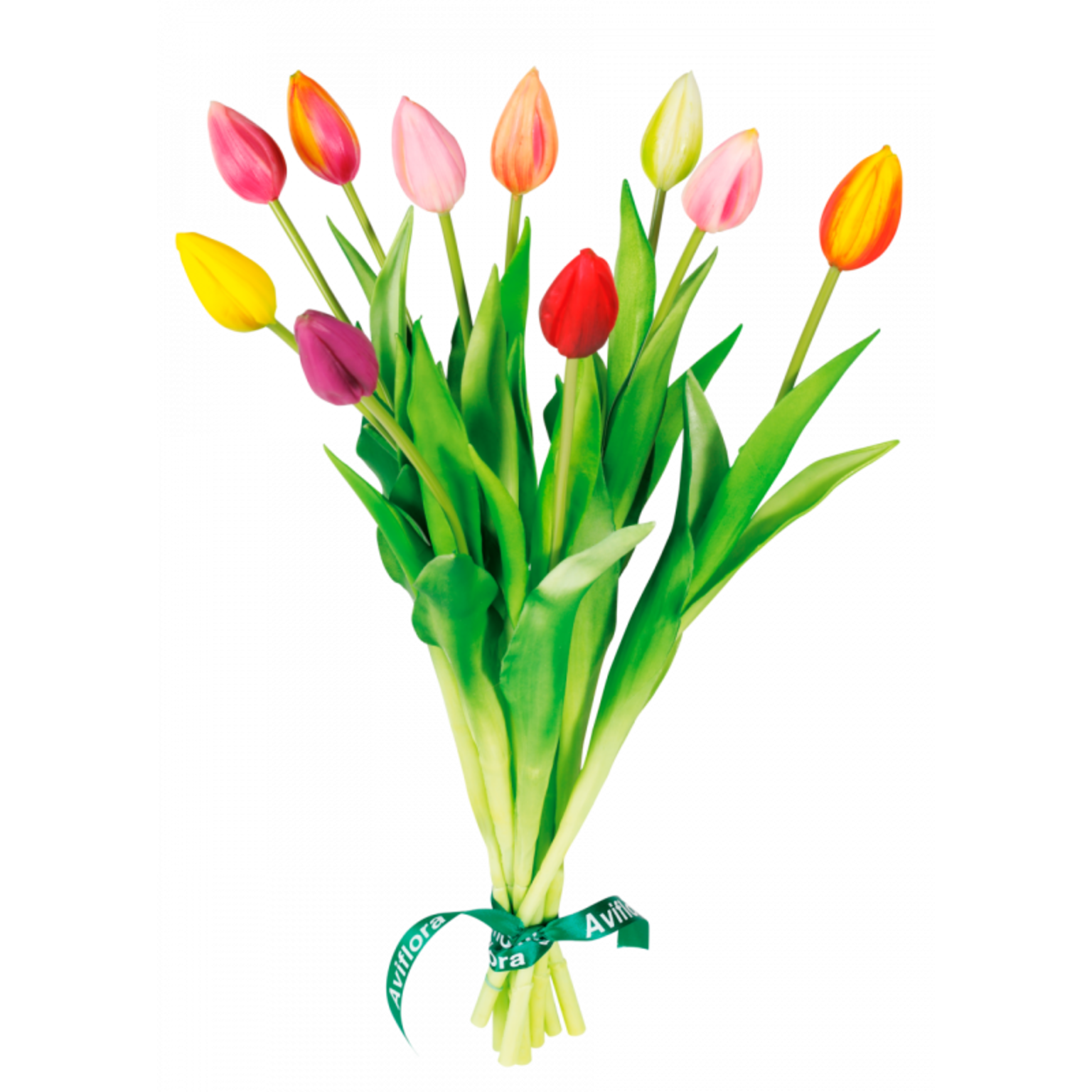 Everlasting Tulips