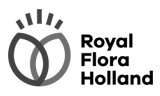  Royal Flora Holland  