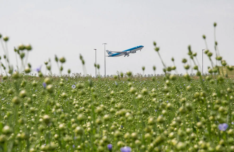 Image - Promoting more sustainable aviation