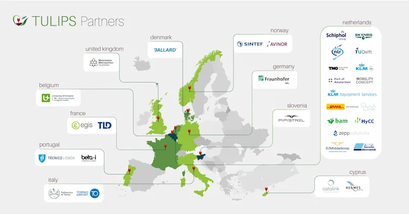 tulips partners