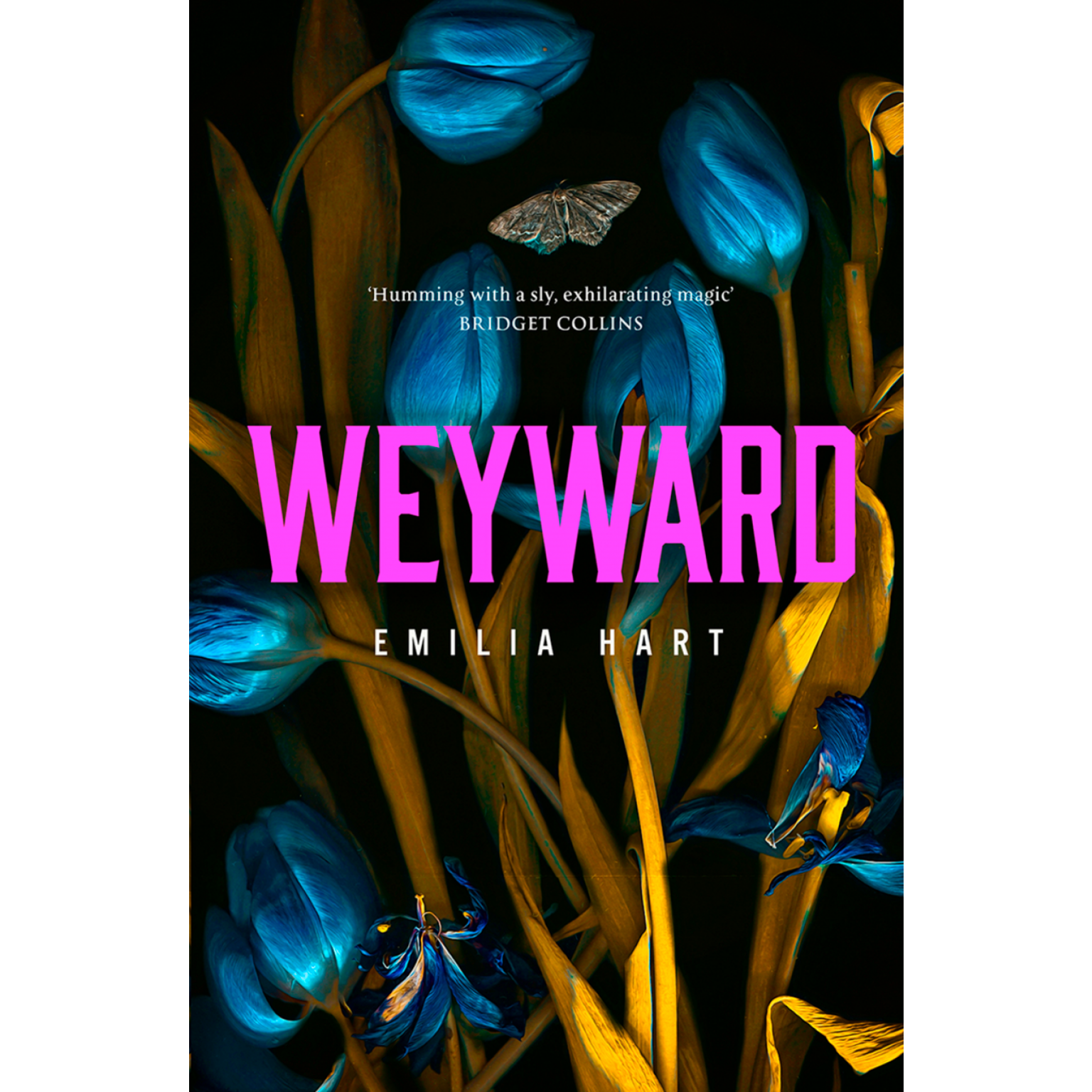 Weyward - Emilia Ward