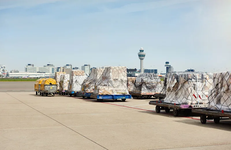 Local rule cargo to be discussed by mid-December