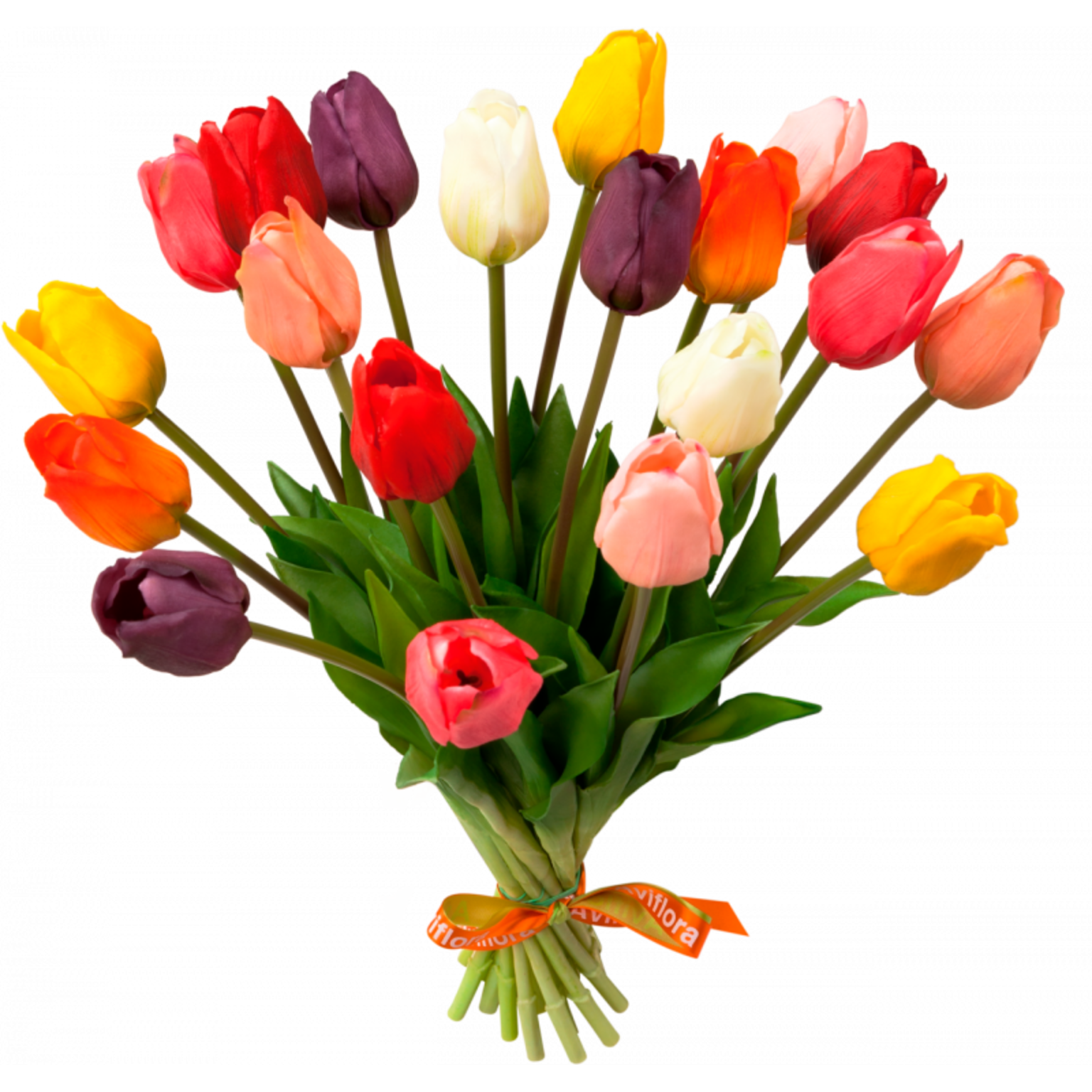 Everlasting Tulips