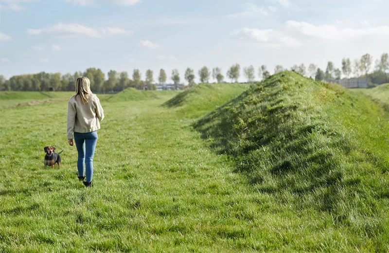 (7) achterliggend landschapsontwerp geluidsribbels-1