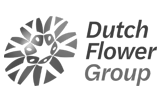 Dutch Flora Group