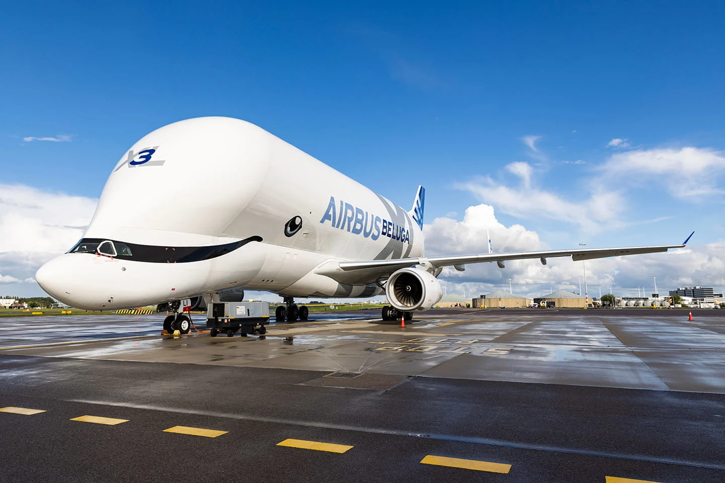 beluga xl