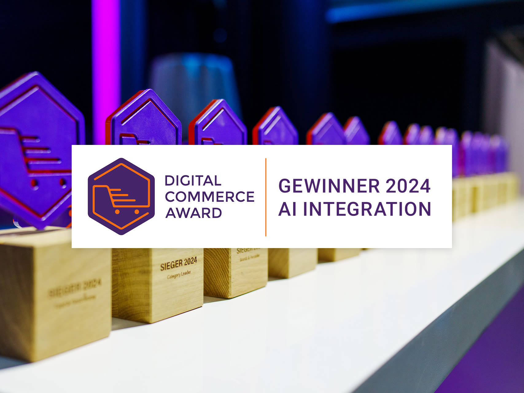 Digital Commerce Award 24