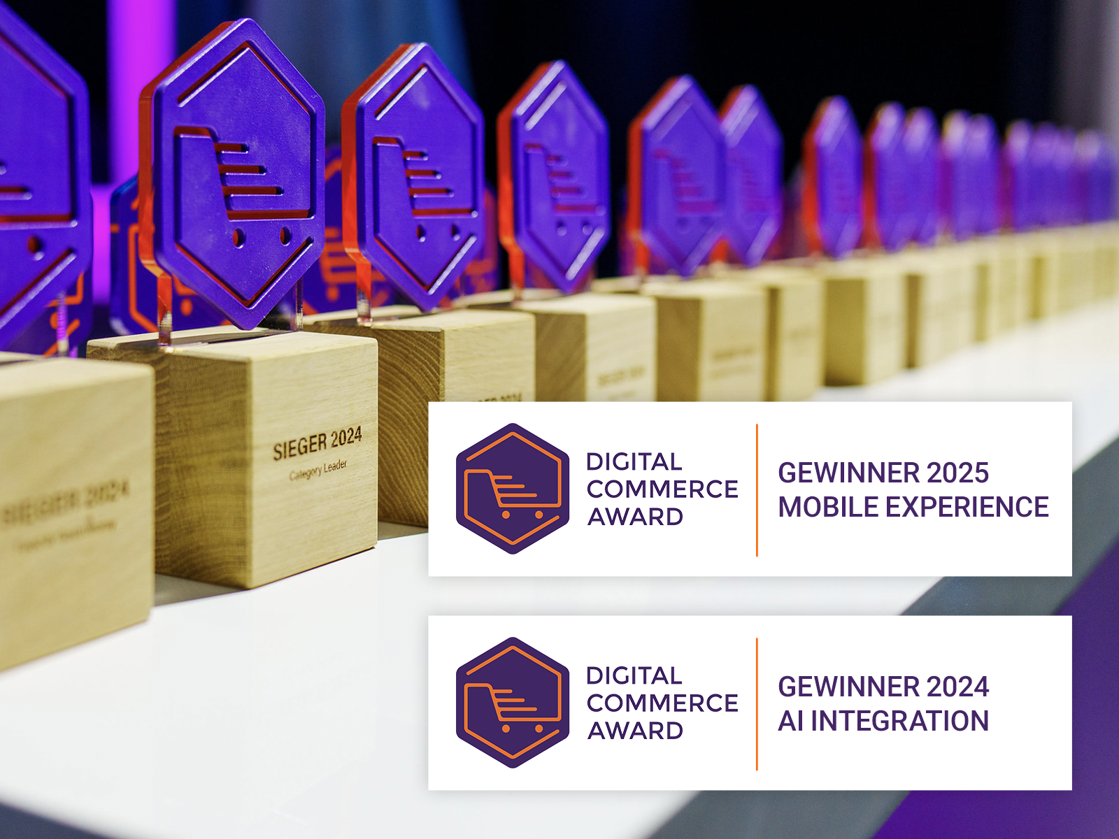 Digital Commerce Award