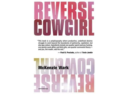 reverse cowgirl small-image-mobile