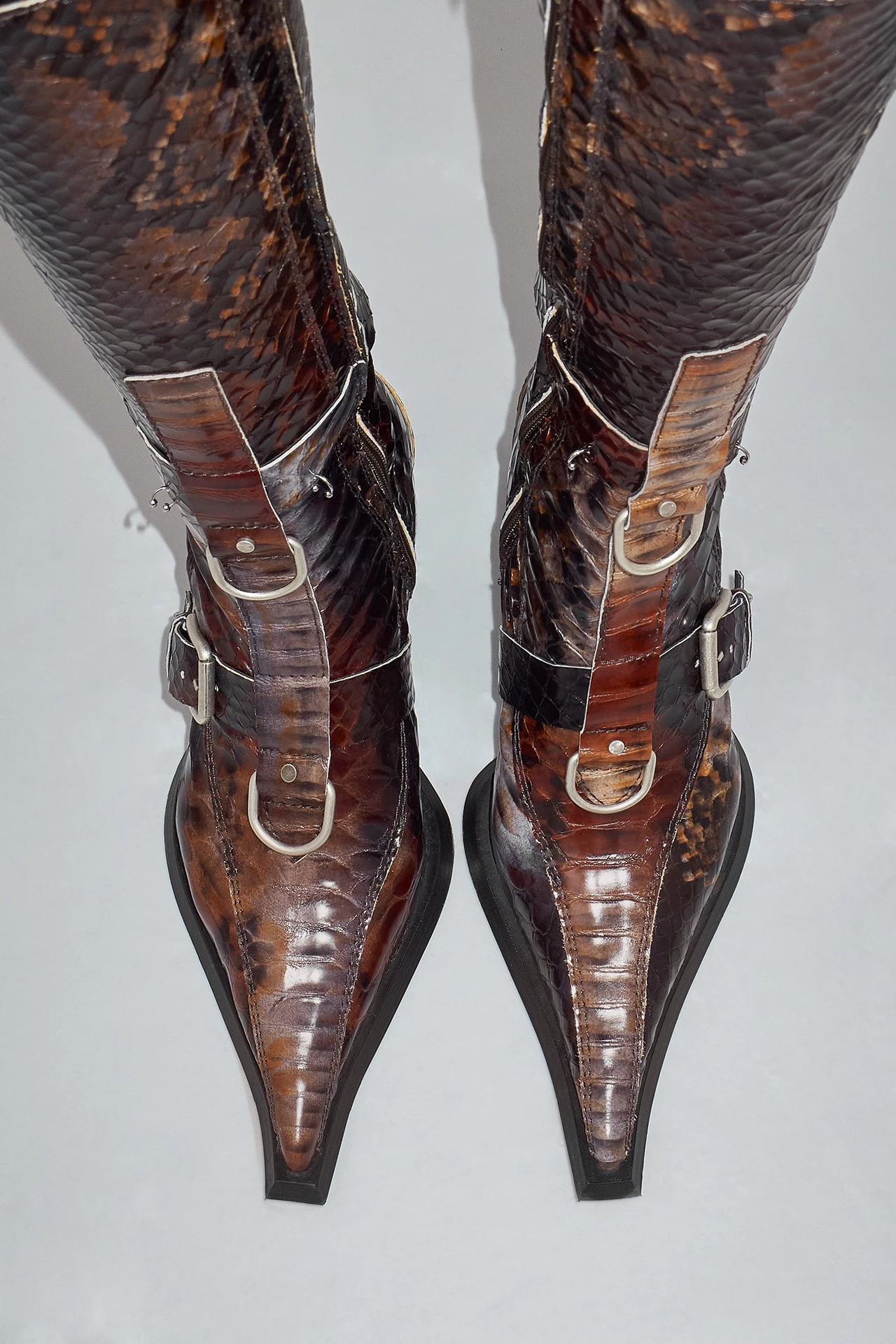 EC-miista-eliya-brown-snake-buckled-tall-boots-04