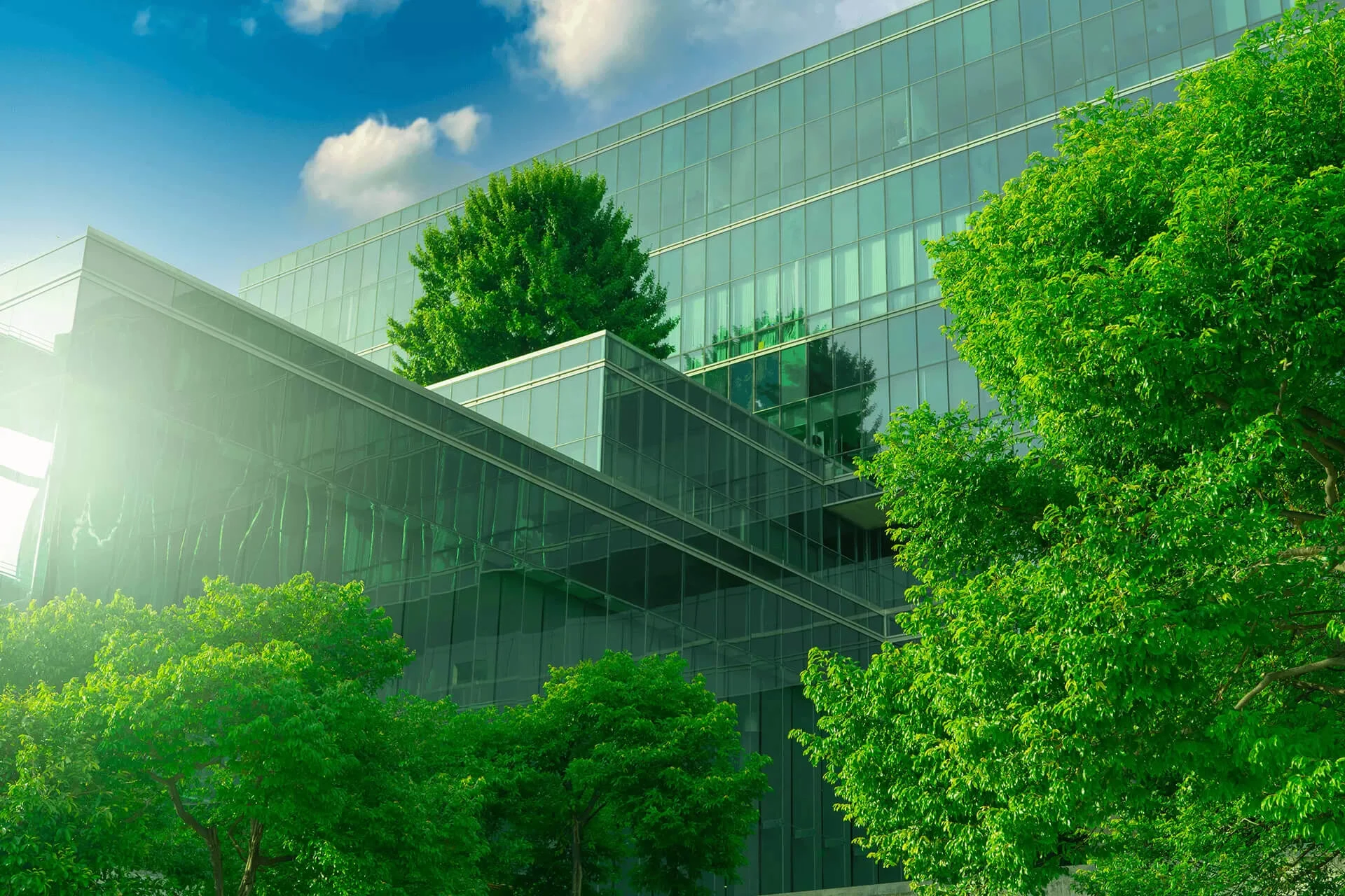 Modern office building integrated with greenery, emphasizing sustainability.