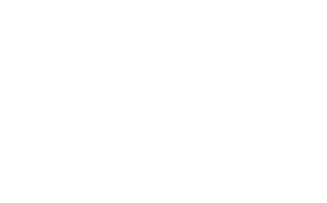 Partner 0005 Ataccama