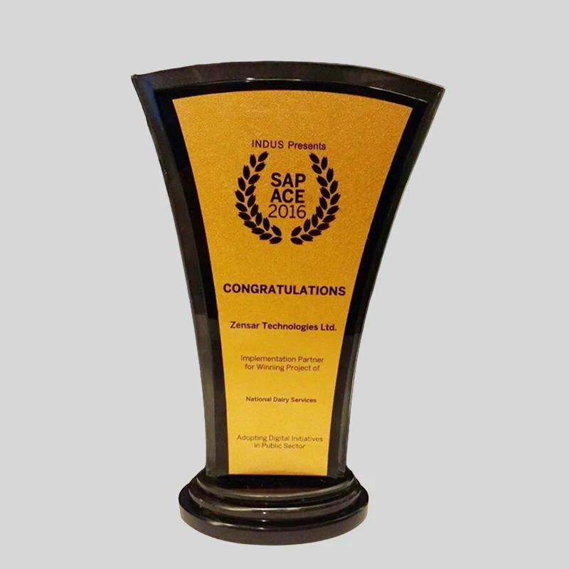 SAP ACE award