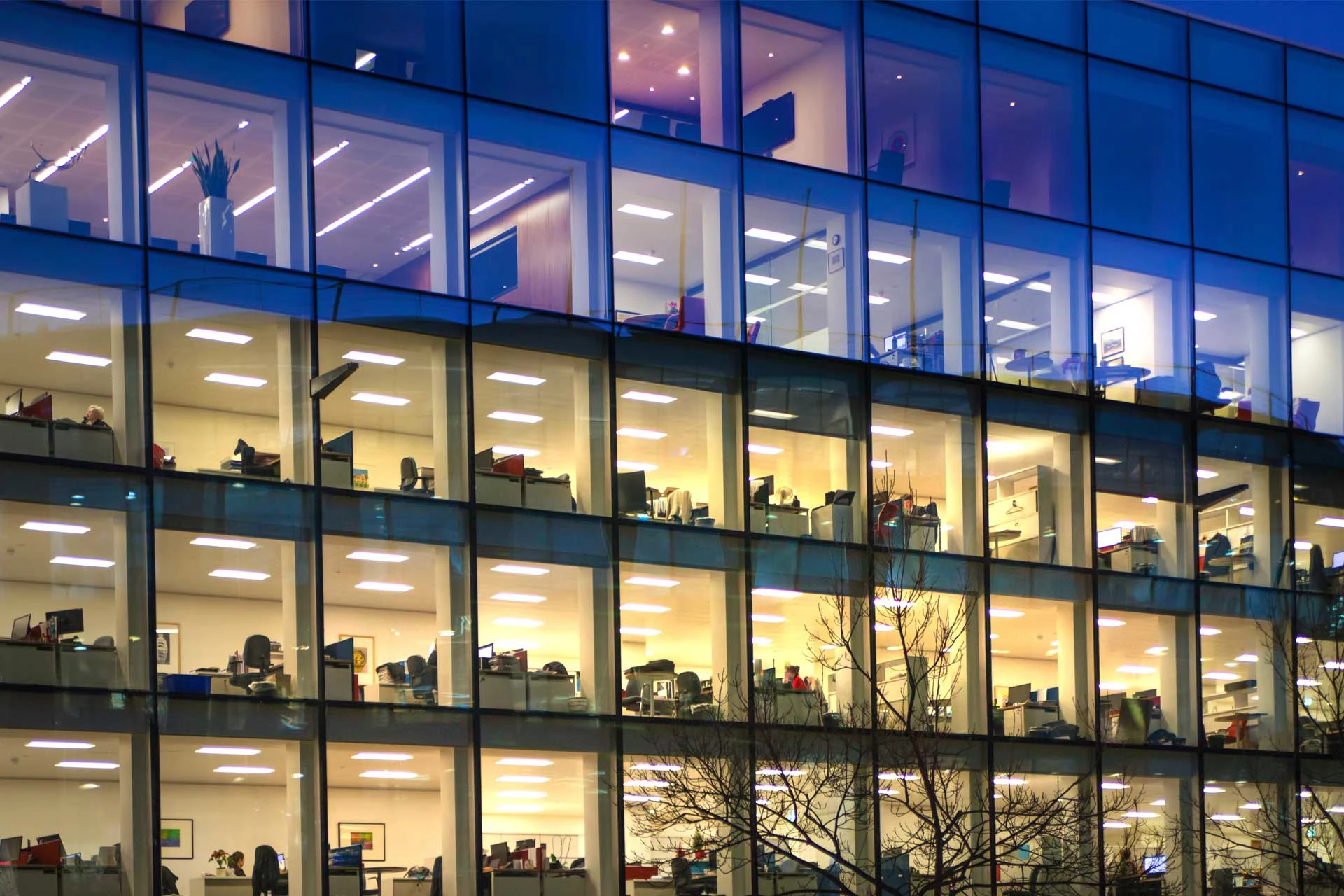 Office view showing multiple workstations in a modern corporate building