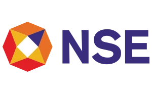 NSE Logo Hires