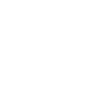 Global icon