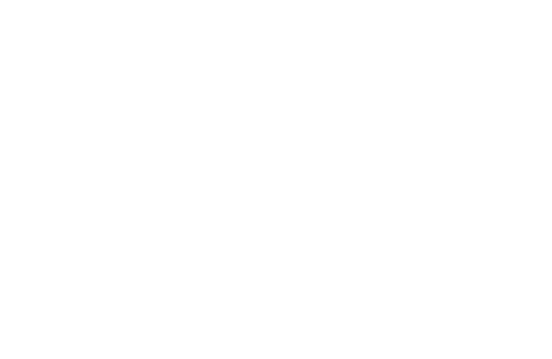 PaloAlto-D