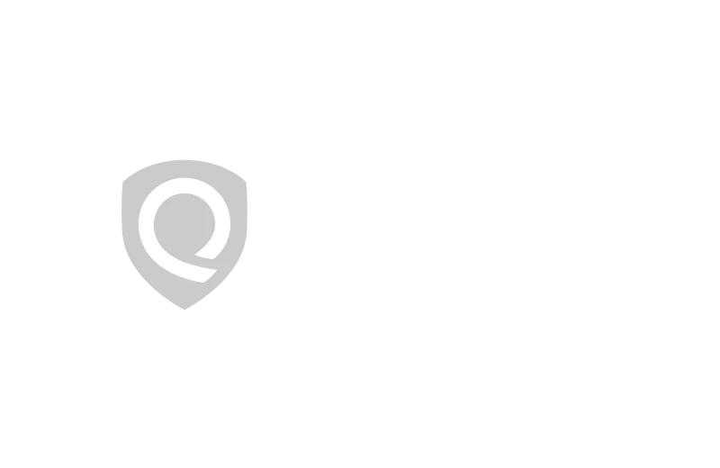 . Qualys darkmode