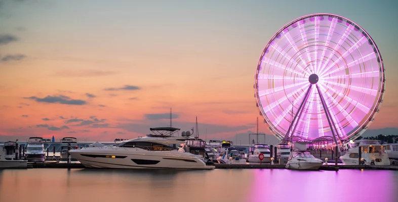 Lit Ferris wheel at sunset for Cynosure Guidewire Connections 2019 event
