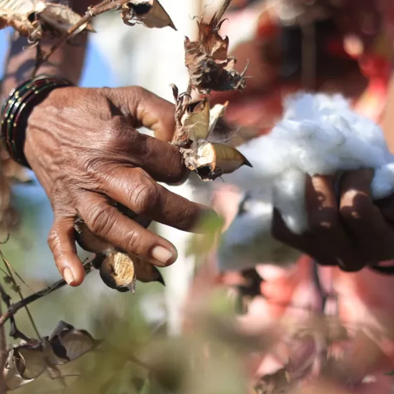 CSR - Our commitments - Focus areas - Environment