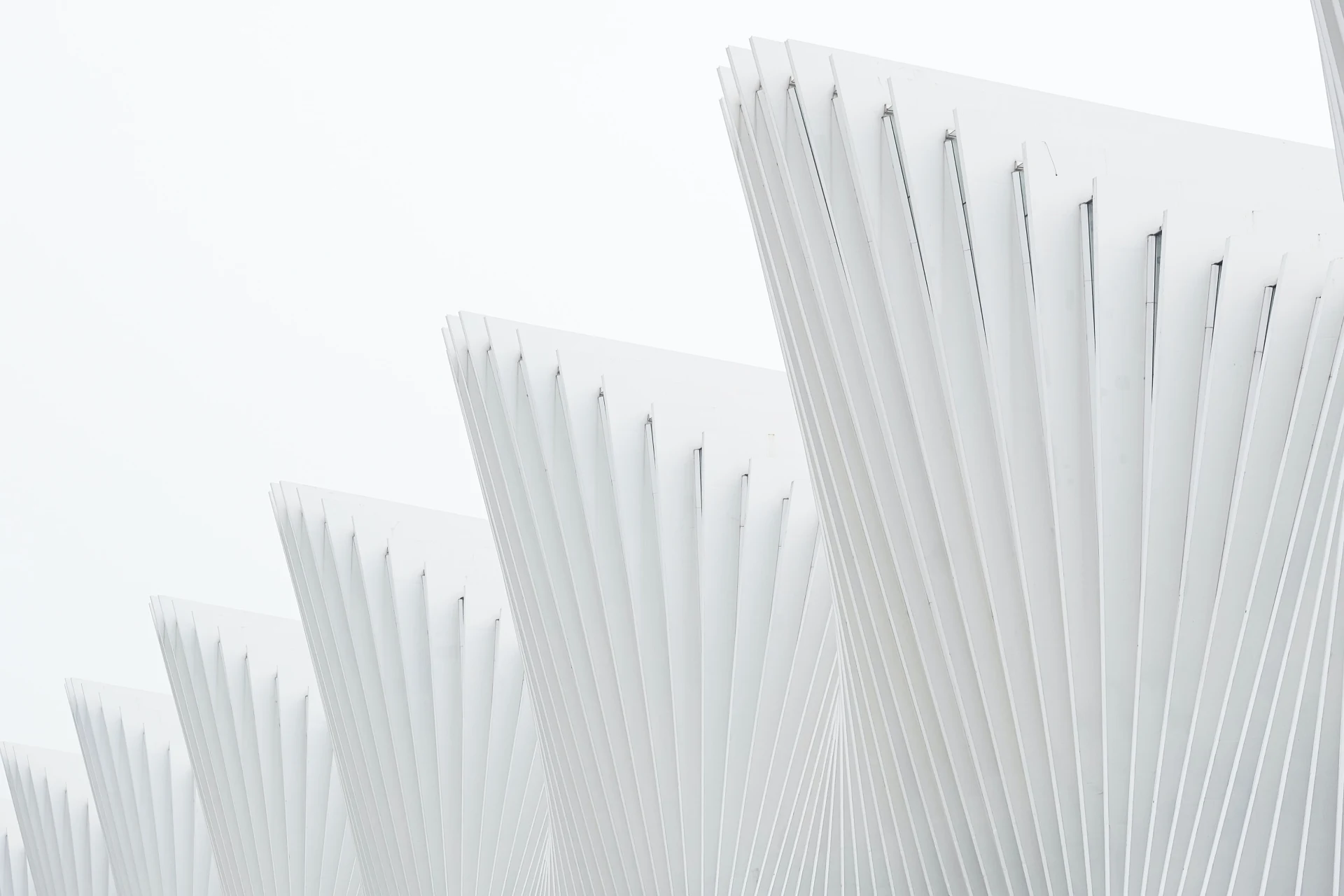 Architectural design featuring angular elements for organizational success