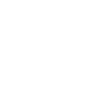 Center icon 2