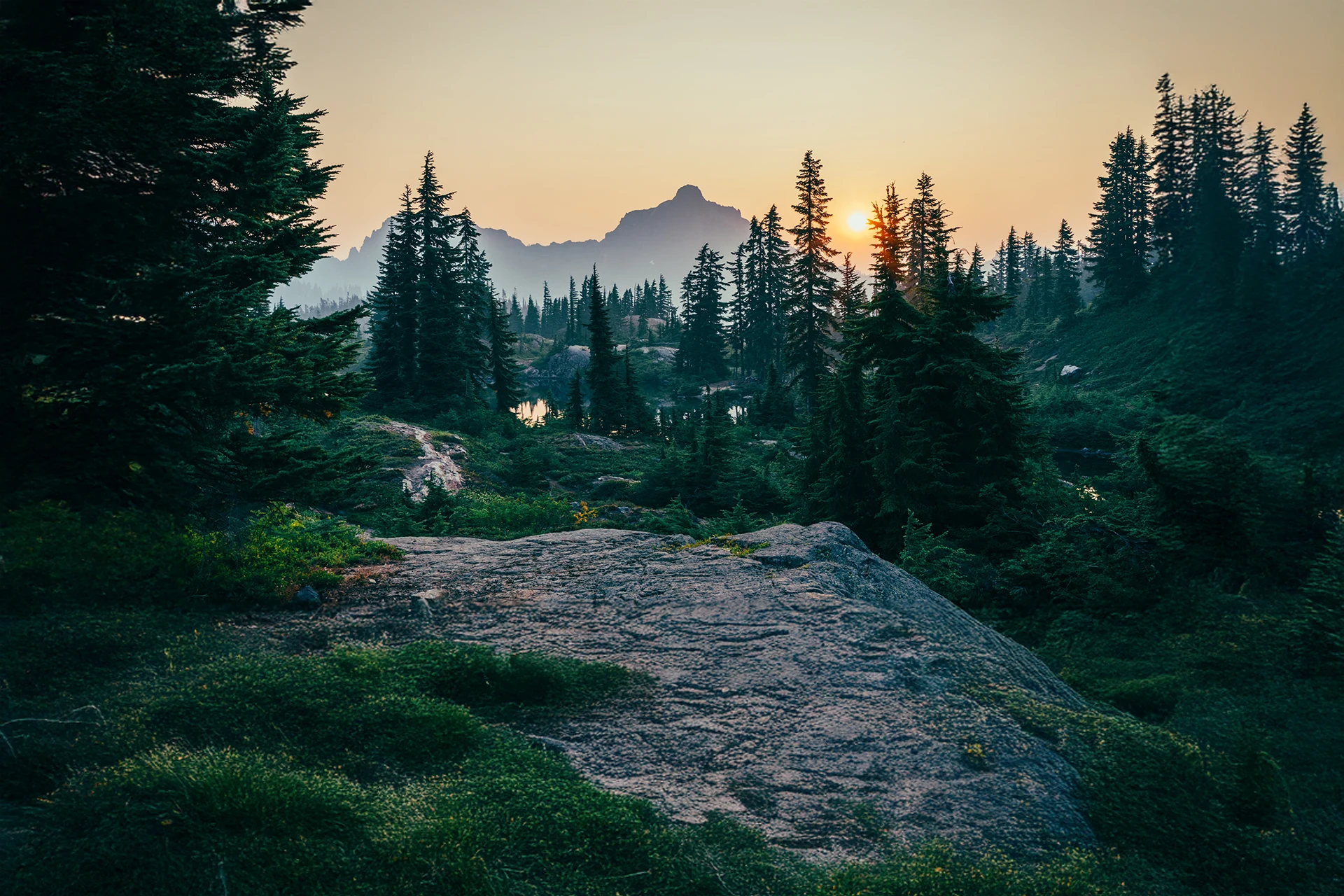 Social media content designed for Forterra's donor engagement strategy