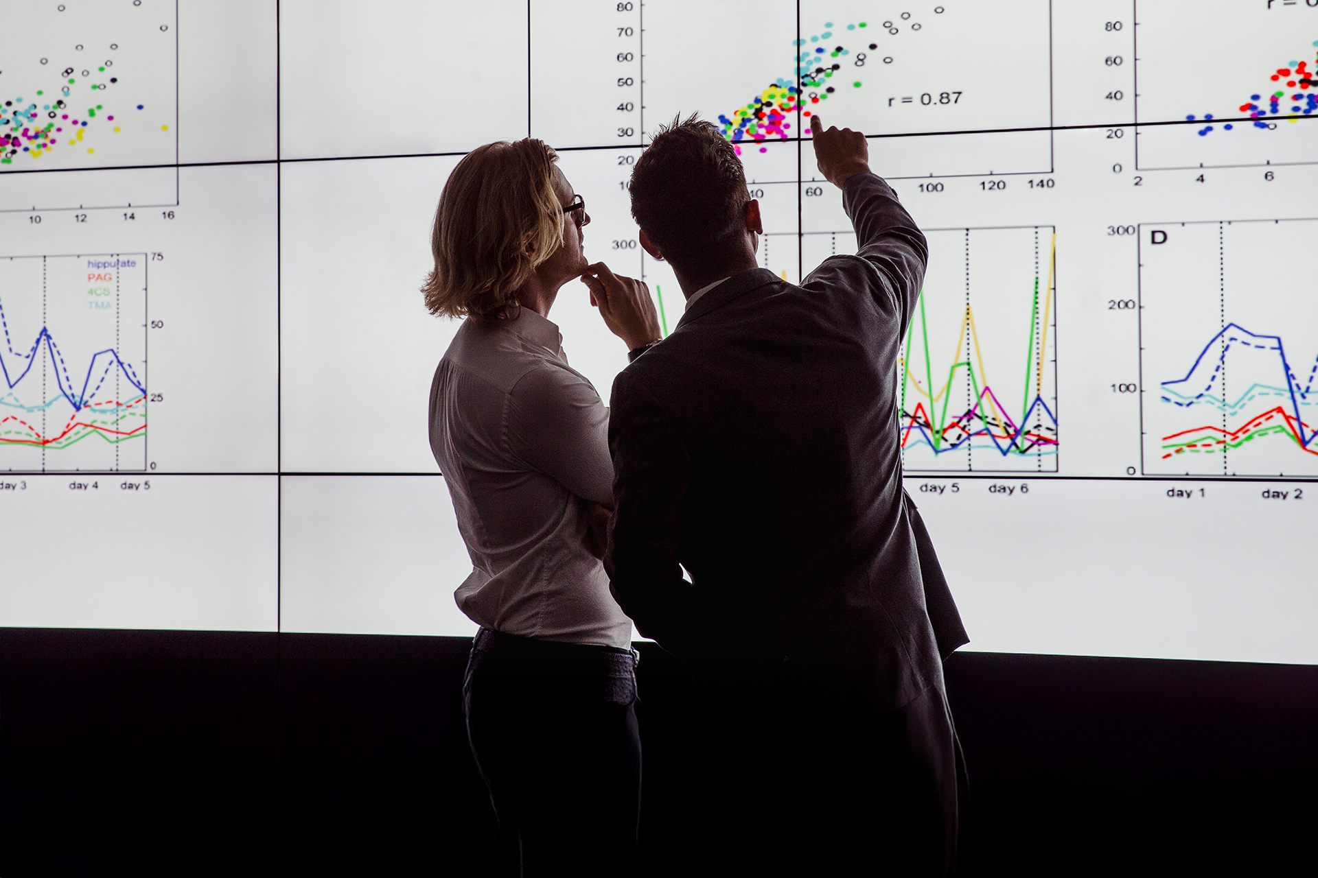 Our service offerings - Data Engineering and Analytics Services -BFS