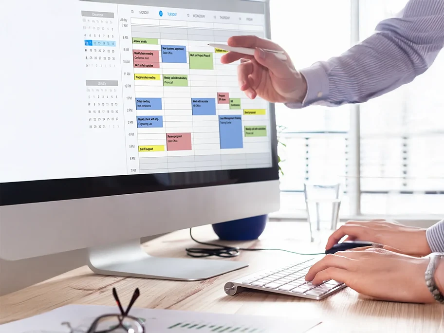 Veeva-Offerings 0005 Program-Management