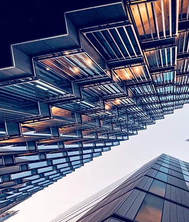 Everest Group Peak Matrix