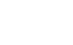 BDB-AI