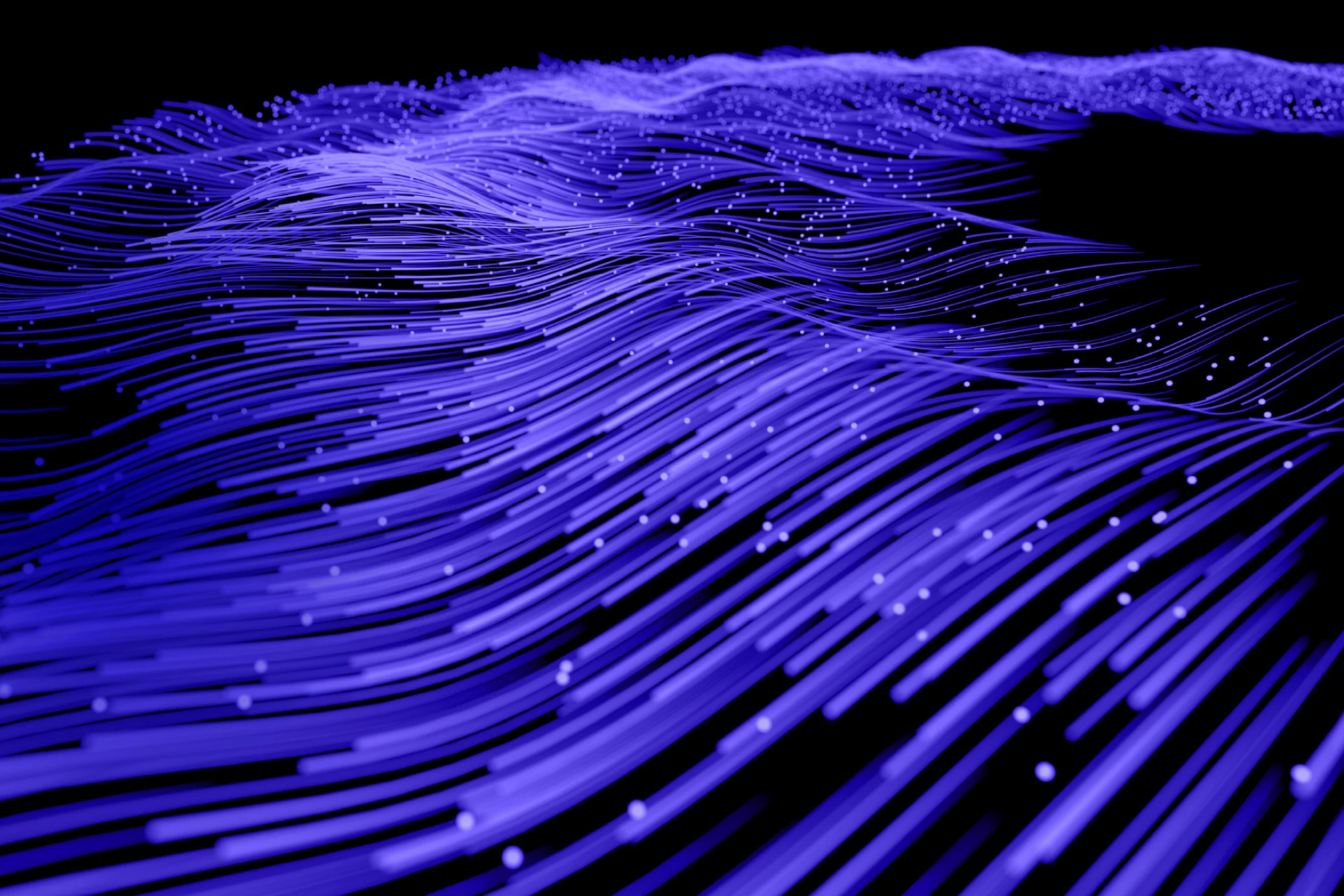 Media-Release-Datadog web-banner