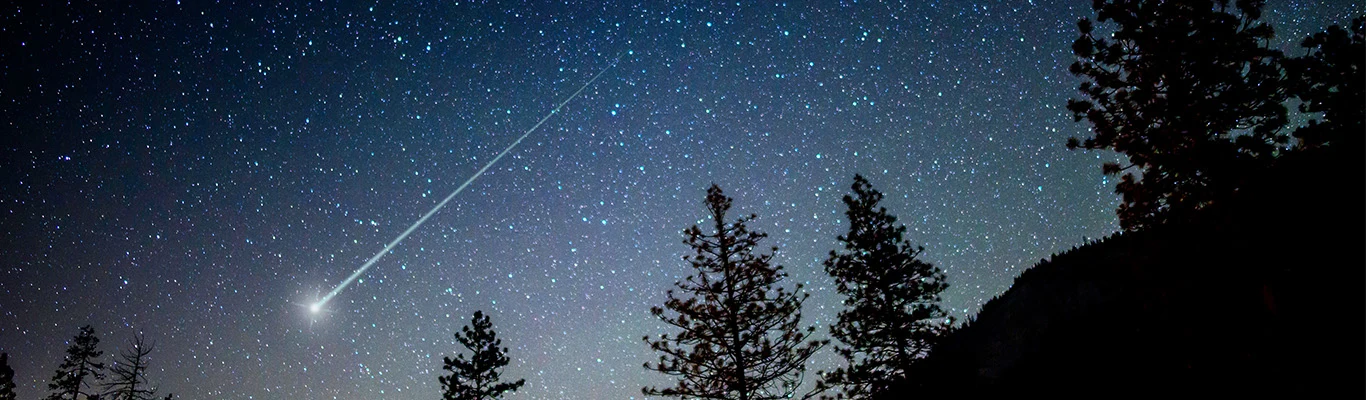 Starry sky with meteor streak above pine silhouettes for digital backbase
