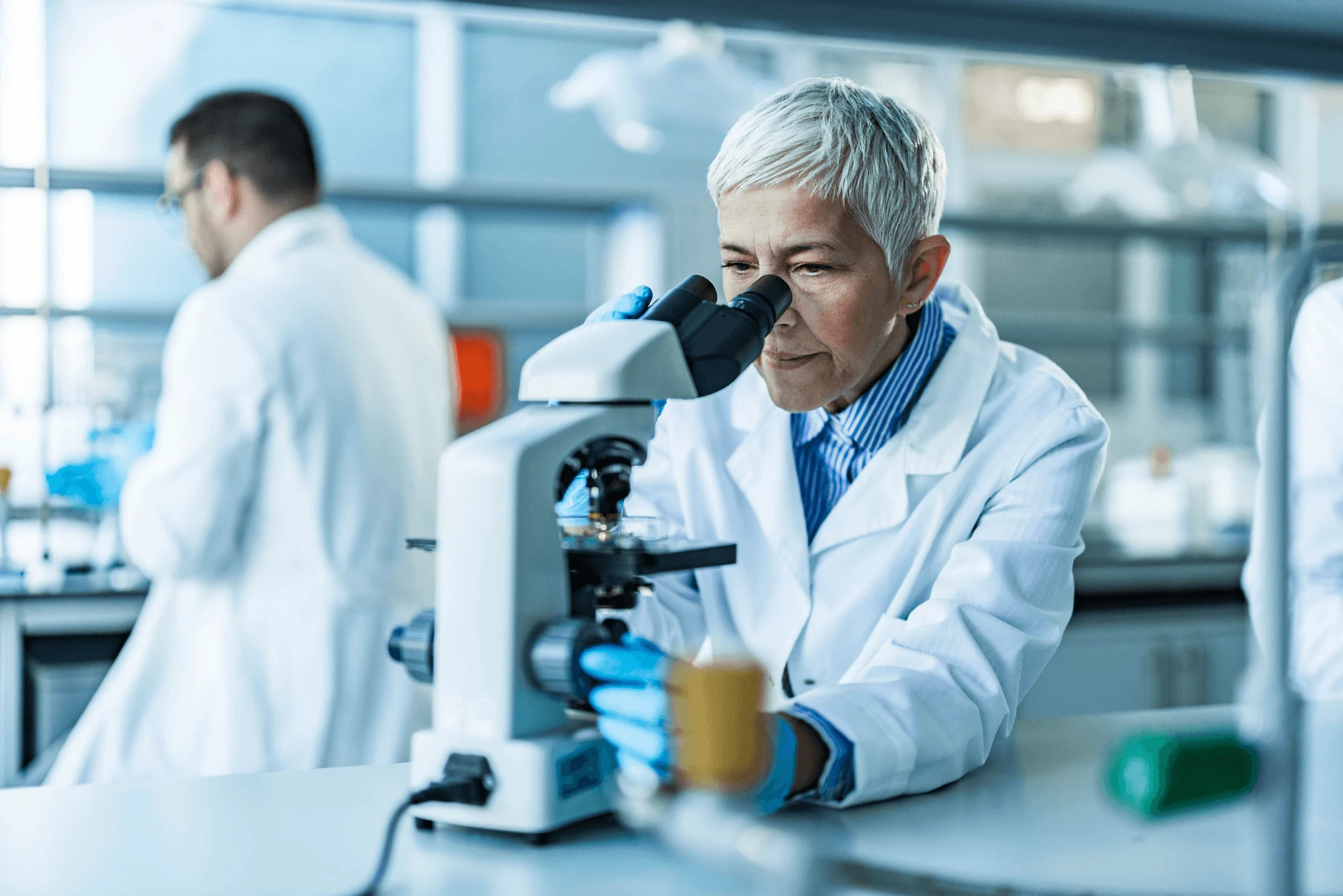 Scientist examining samples with a microscope in a laboratory setting.
