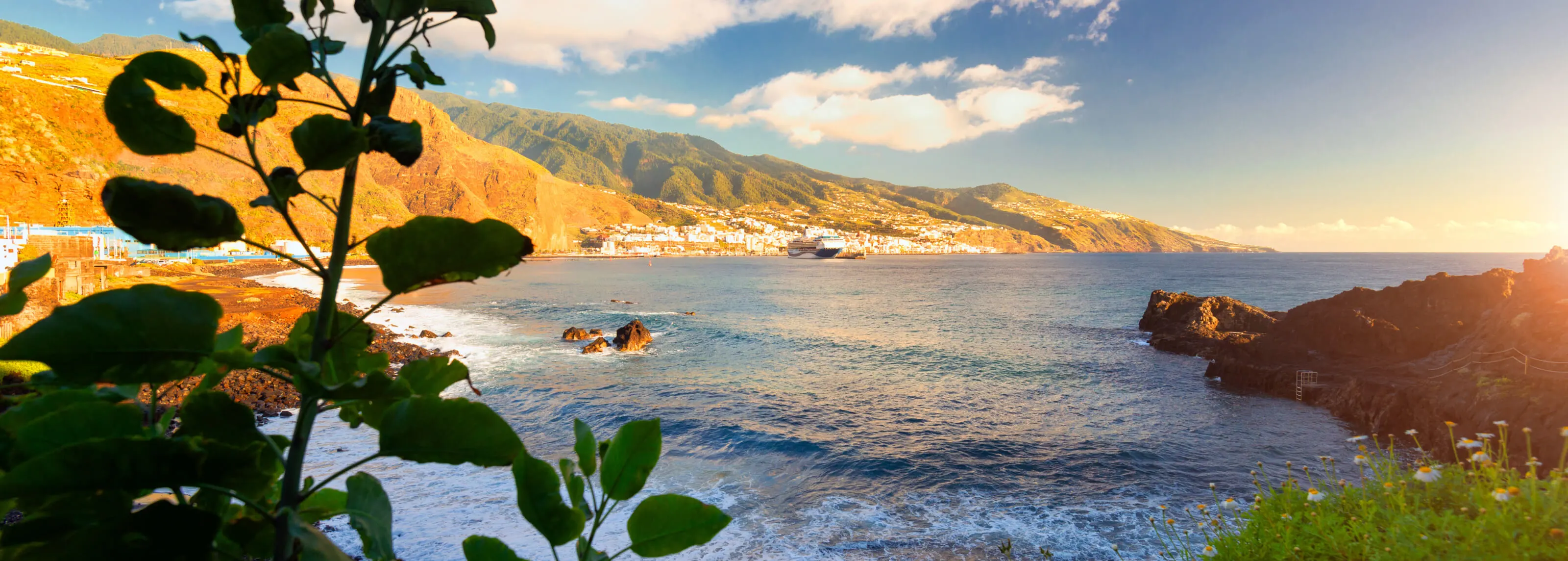 Header image La Palma desktop (1)