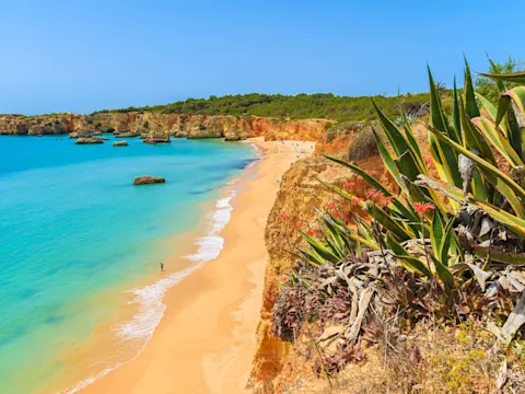 Vakantie Praia da Rocha